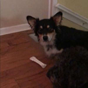 Meet your Posher, Brian